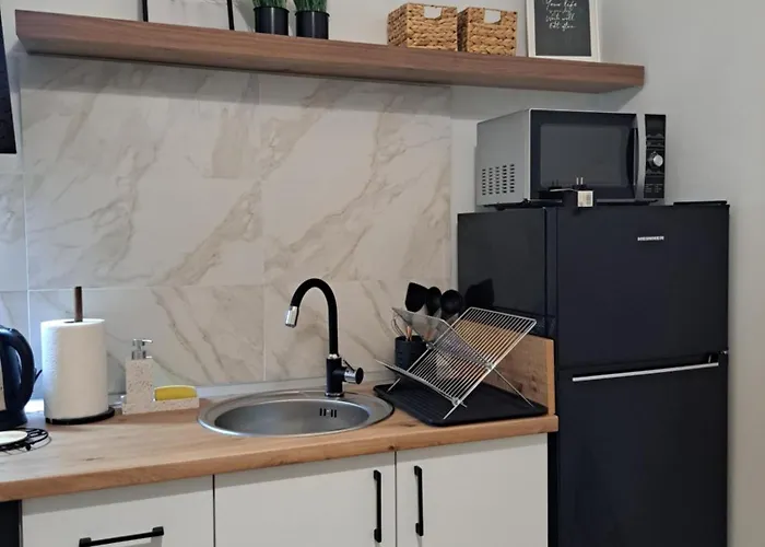 Stylish Center Apartament