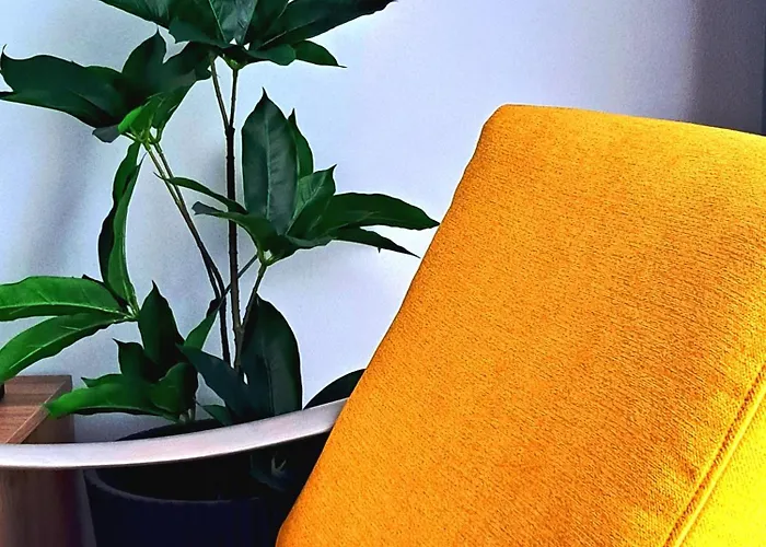Apartamento Stylish Center *